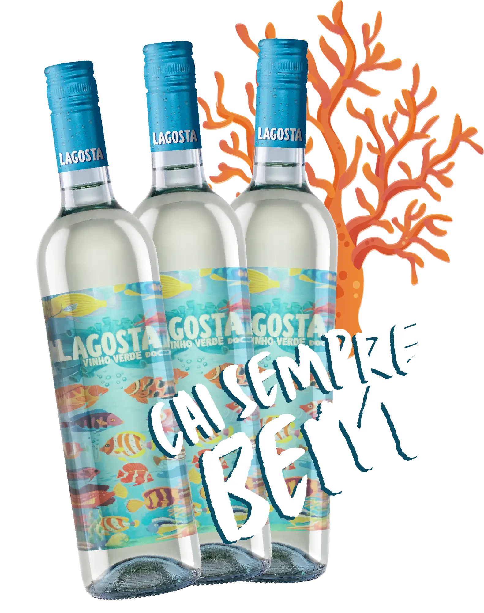 Cai sempre bem